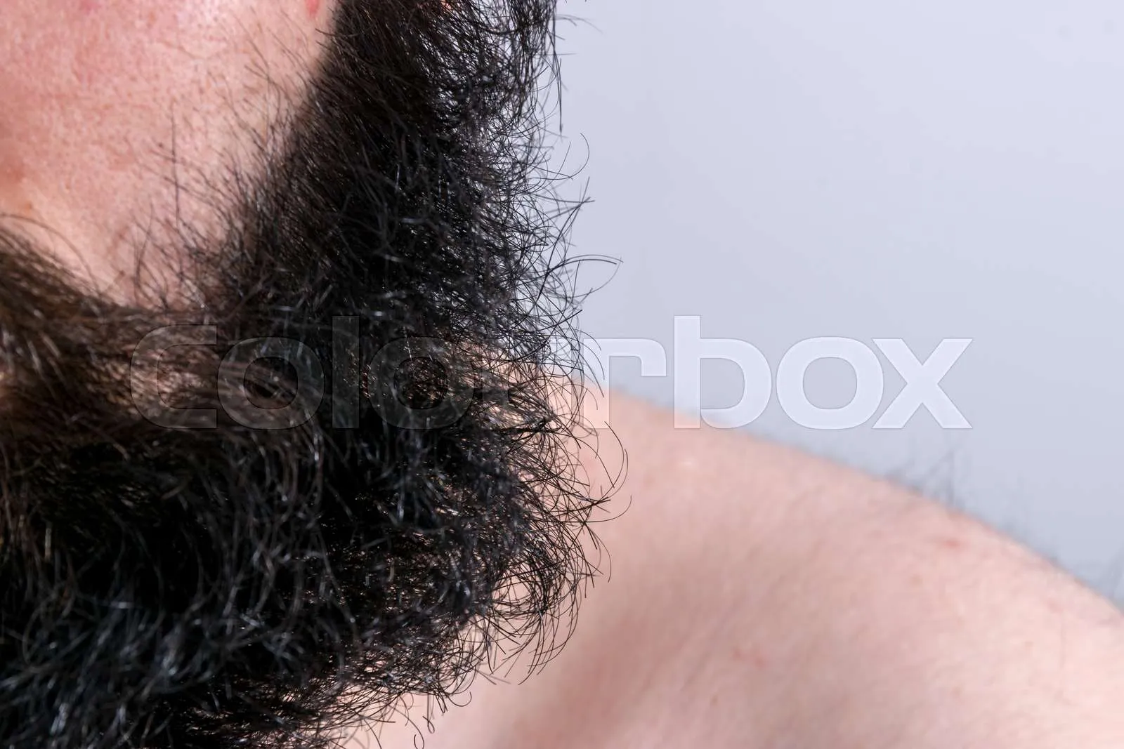 Short Groomed Beard 2024