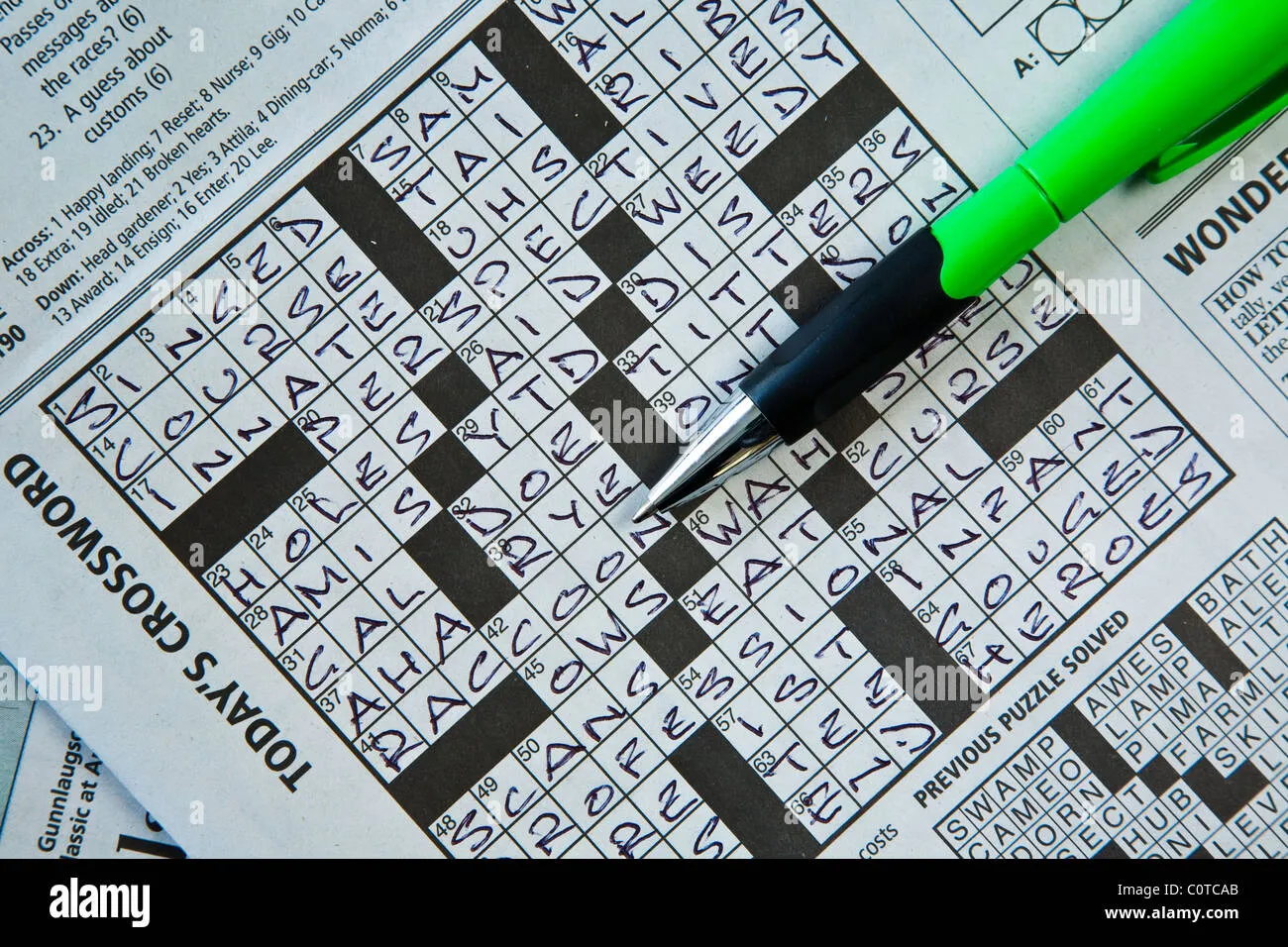 completed beard crossword puzzle