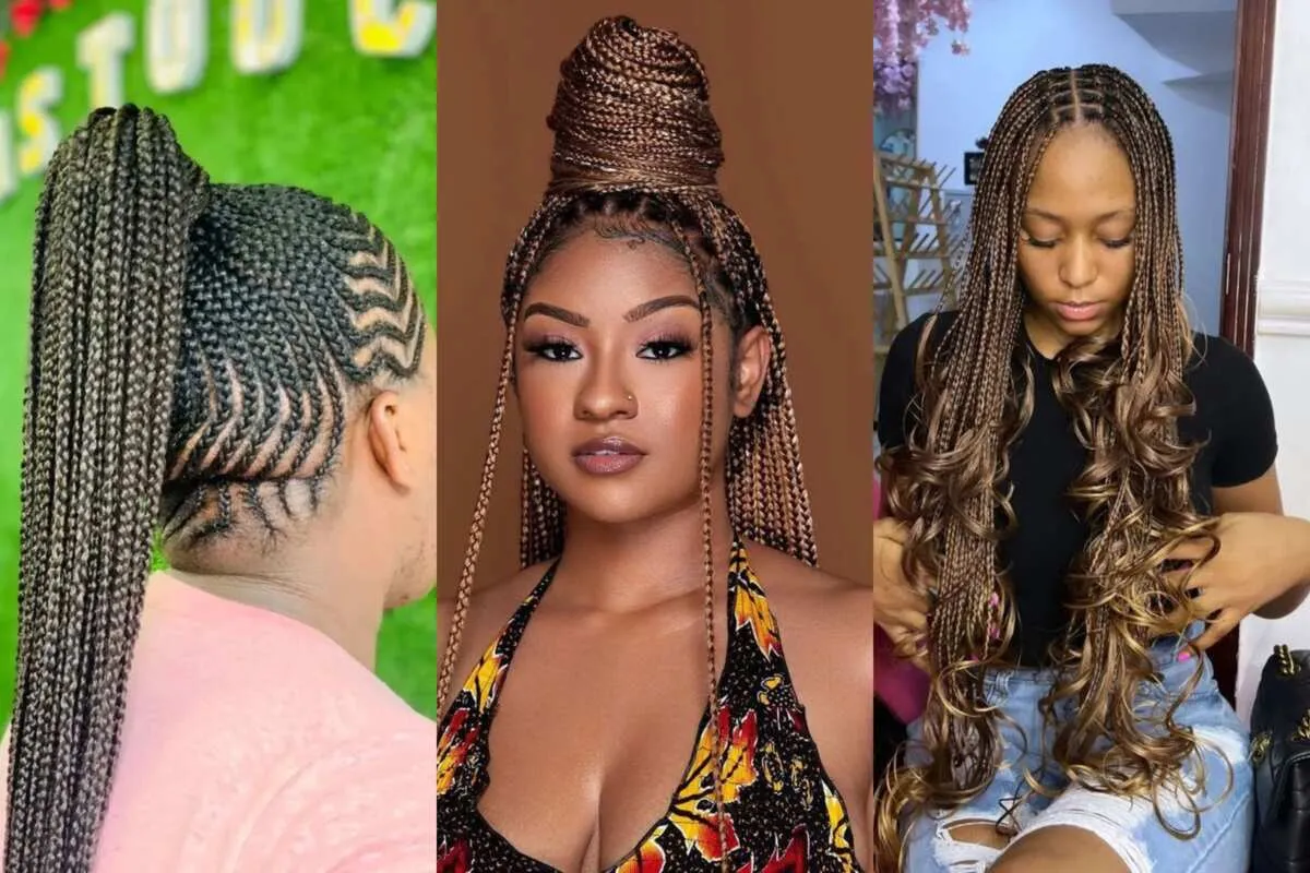 Braids with Beard 2024