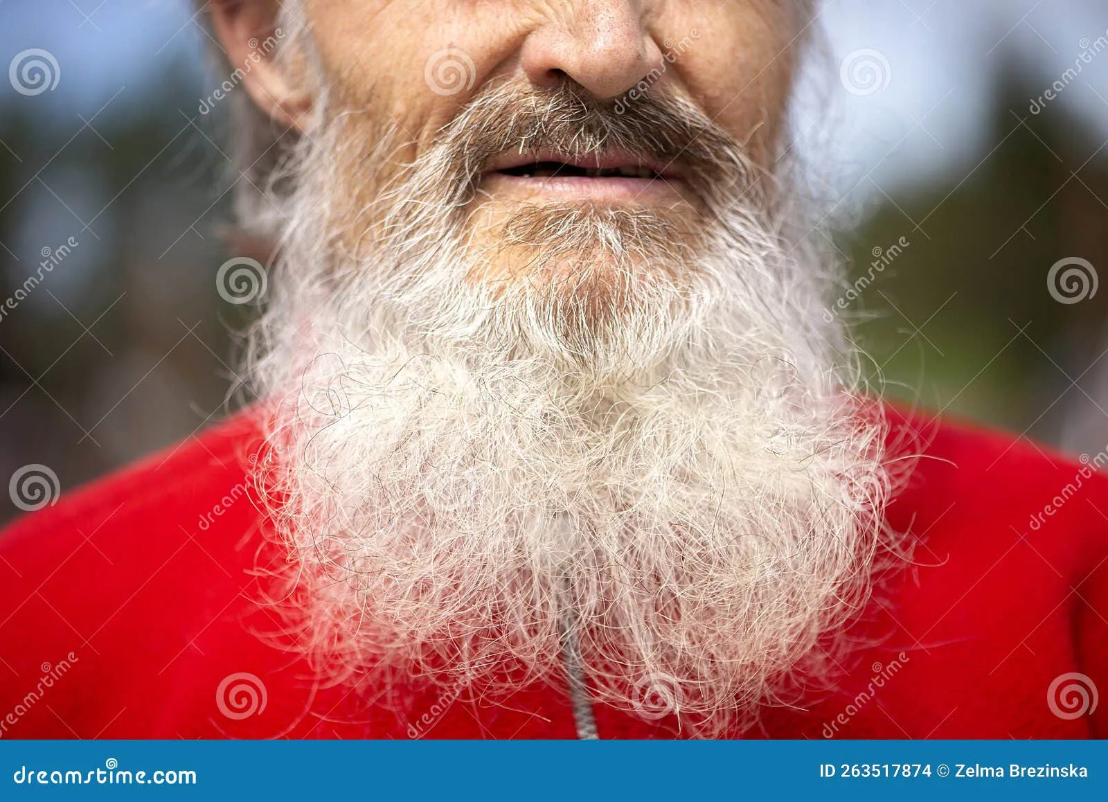 Old Man Logan beard close up