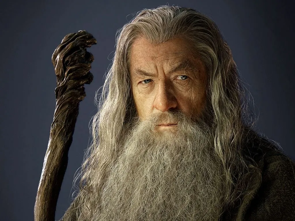 Full Gandalf beard style
