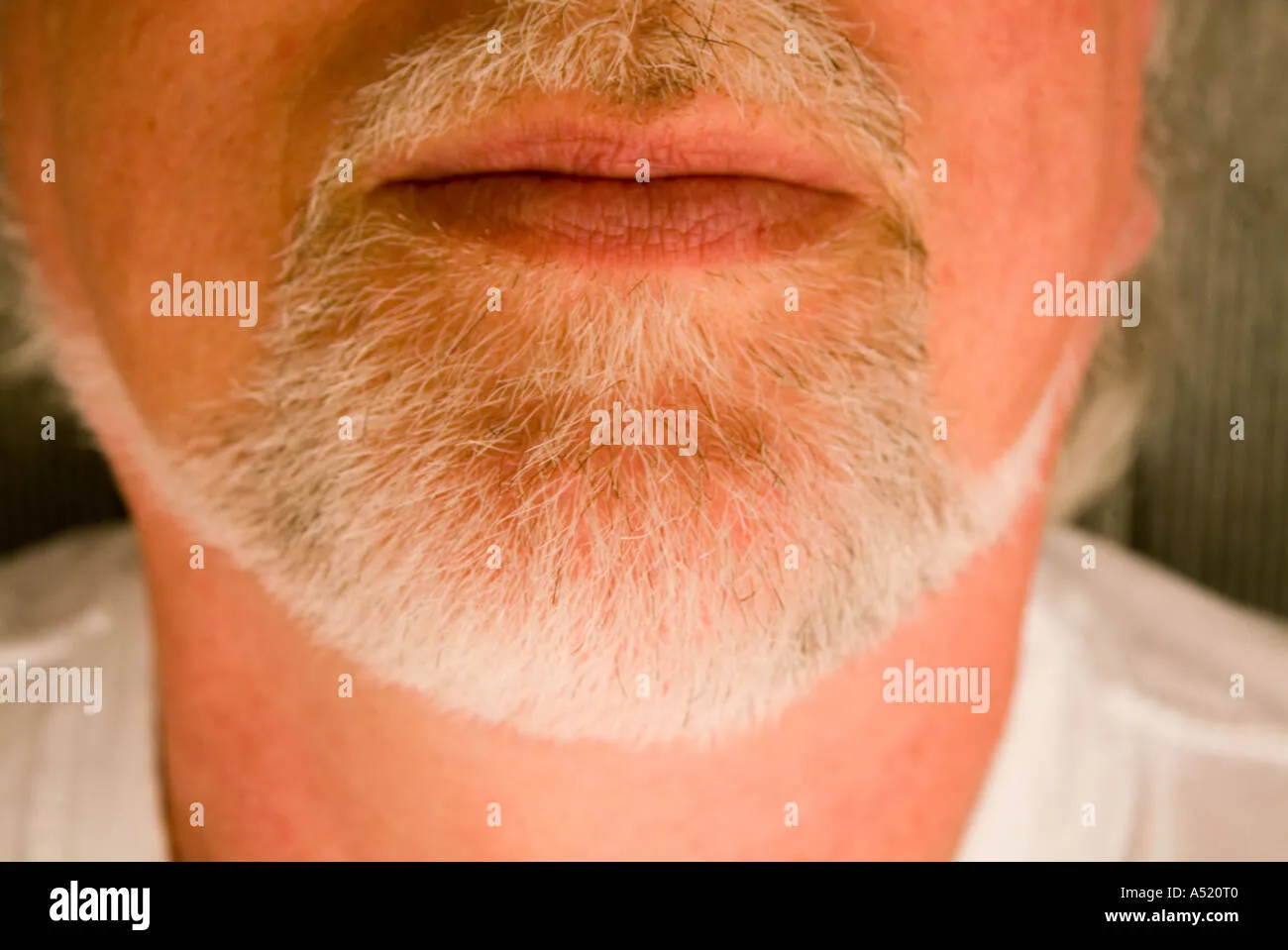 Short neatly trimmed beard