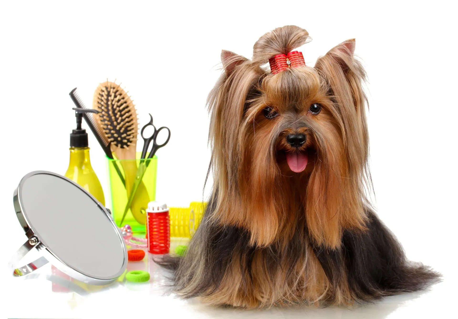 grooming products