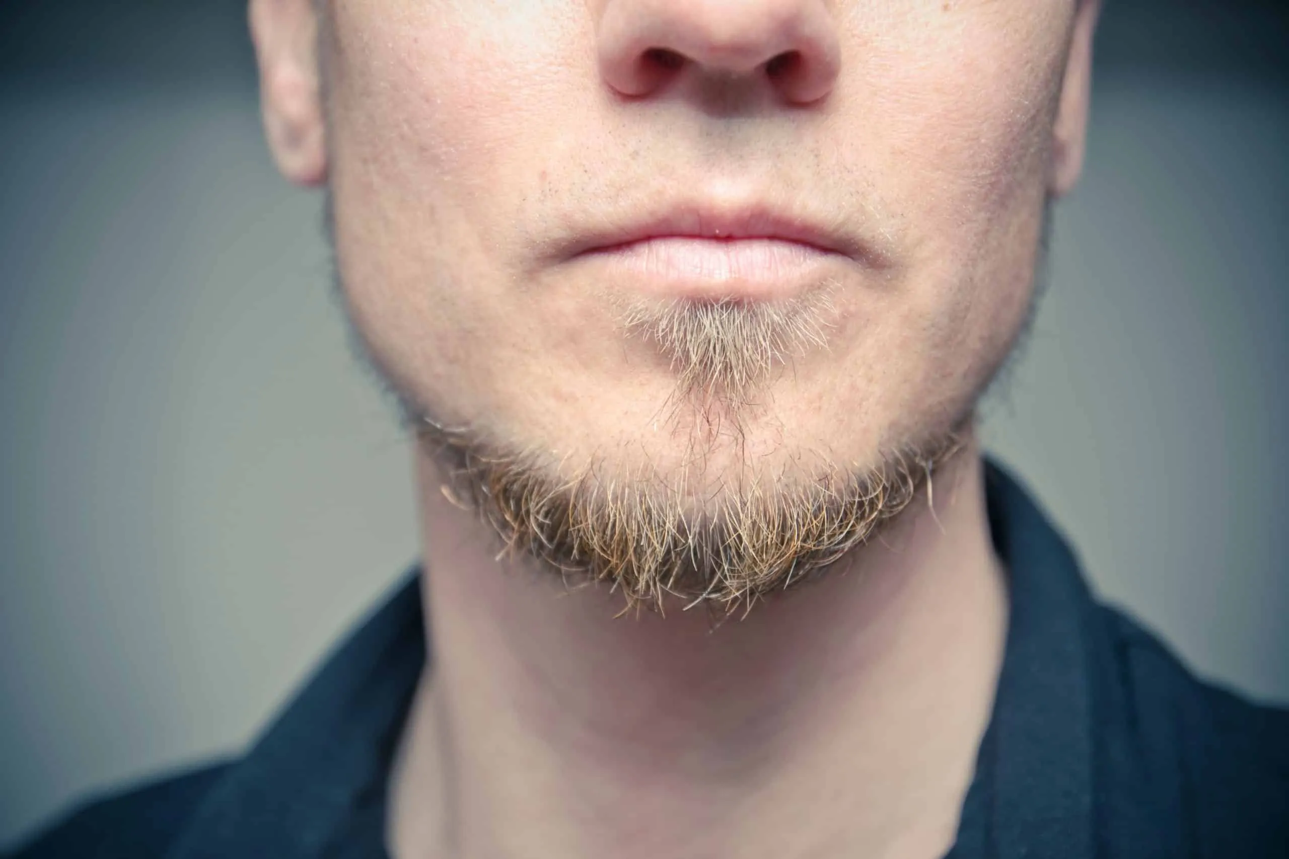 anchor beard