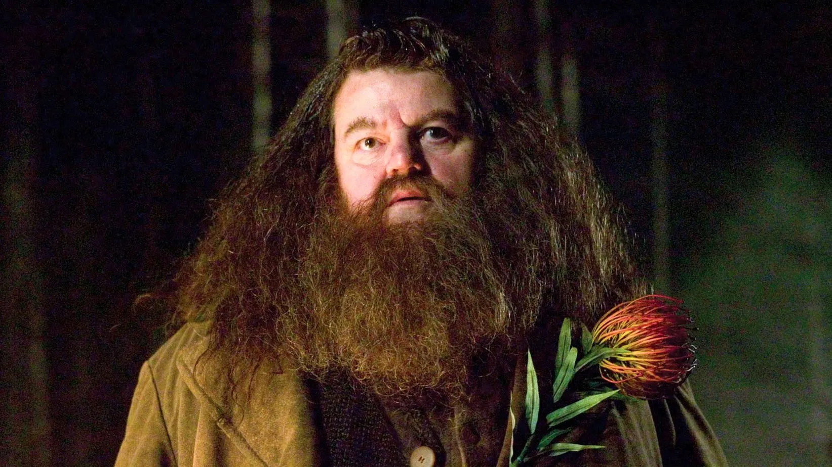 full bushy beard