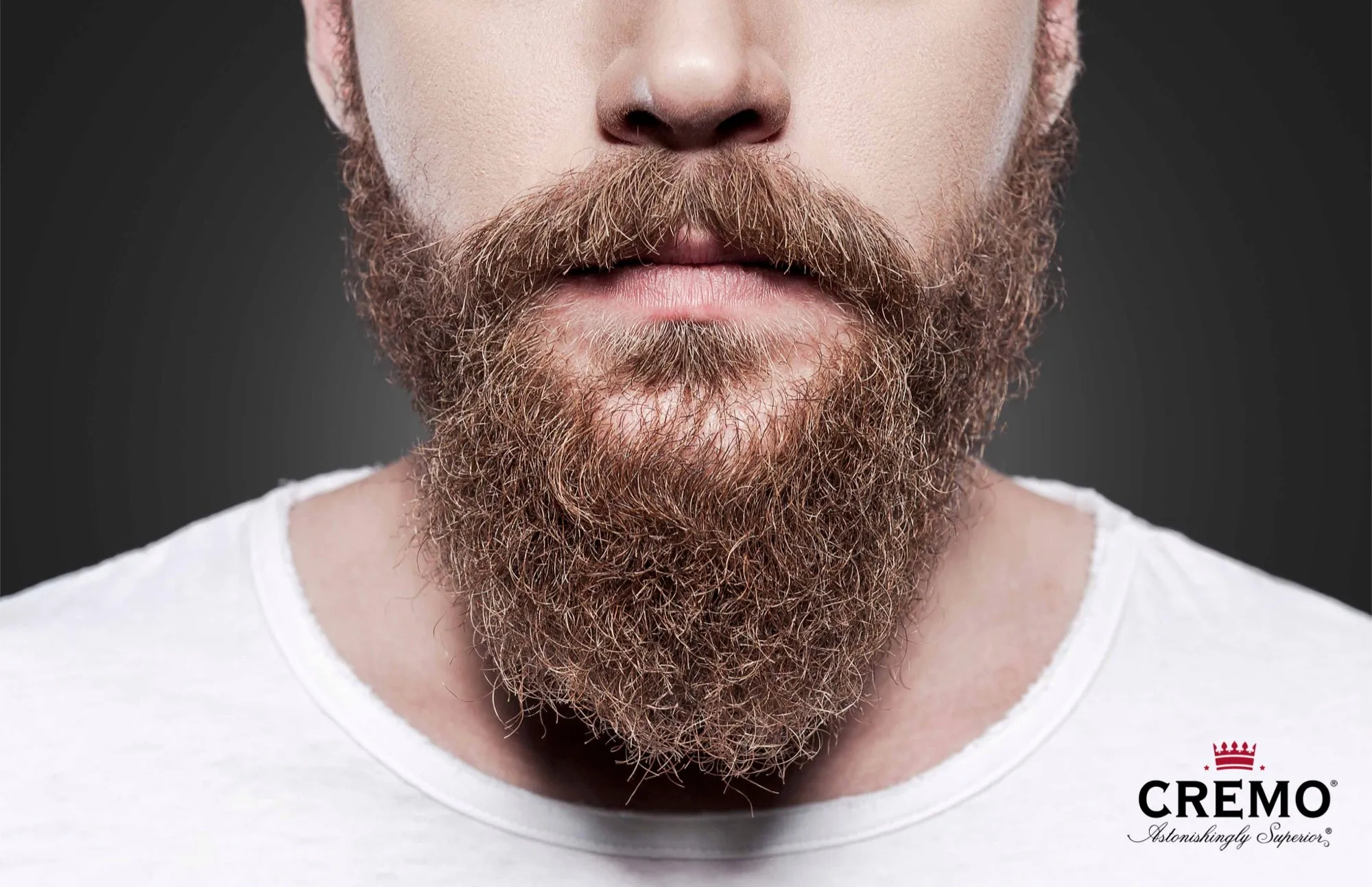 Modern Bajirao Inspired Beard