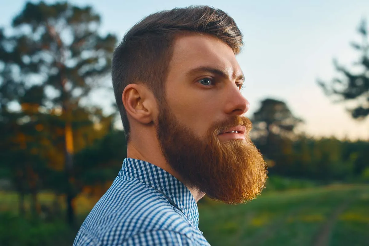 Full beard style 2024