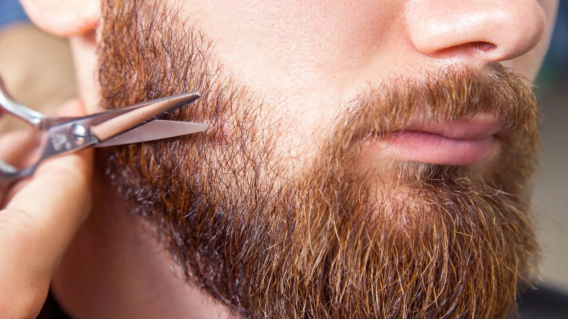 beard care products 2024